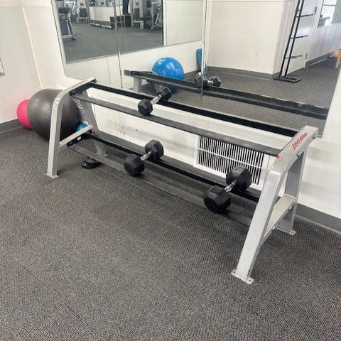 Certified Used Life Fitness Two Tier Dumbbell Rack
