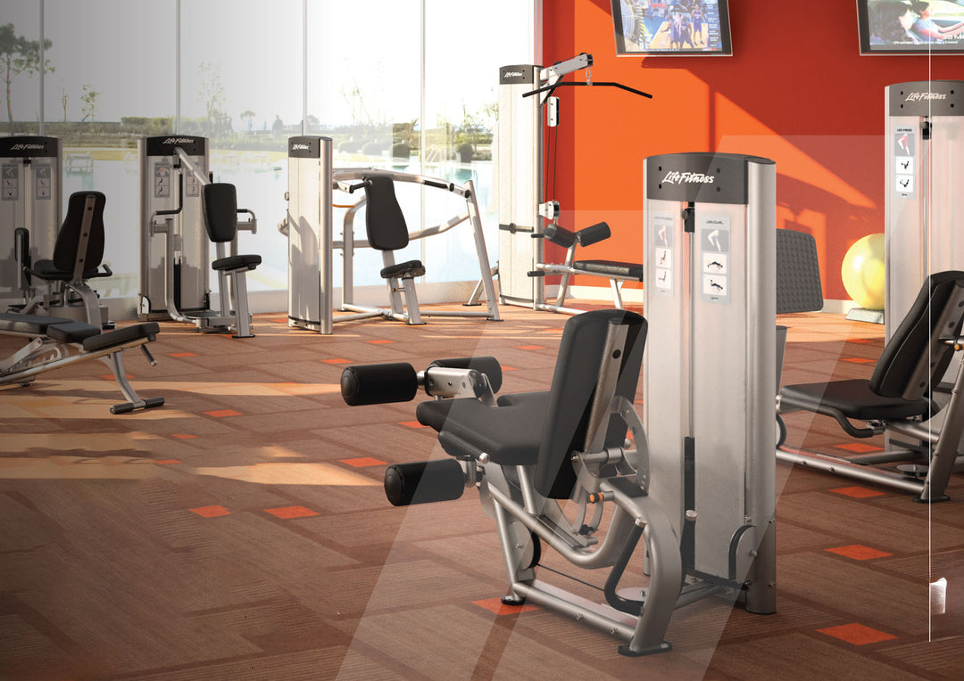 Certified Used Life Fitness Single Stations
