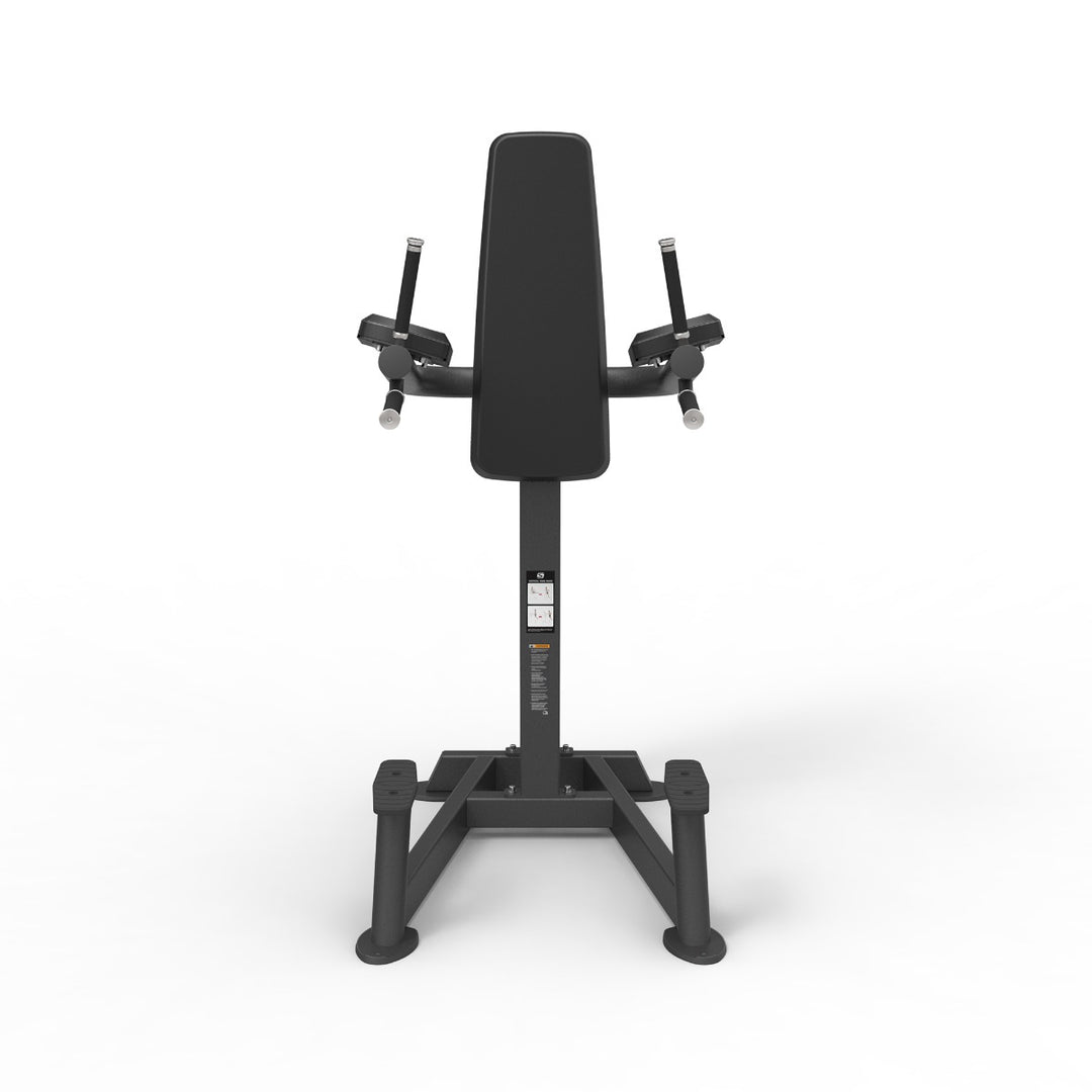 Spirit CSF Vertical Leg Raise/Dip