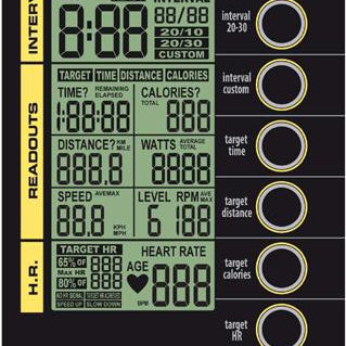 Cascade Ultra Runner Plus