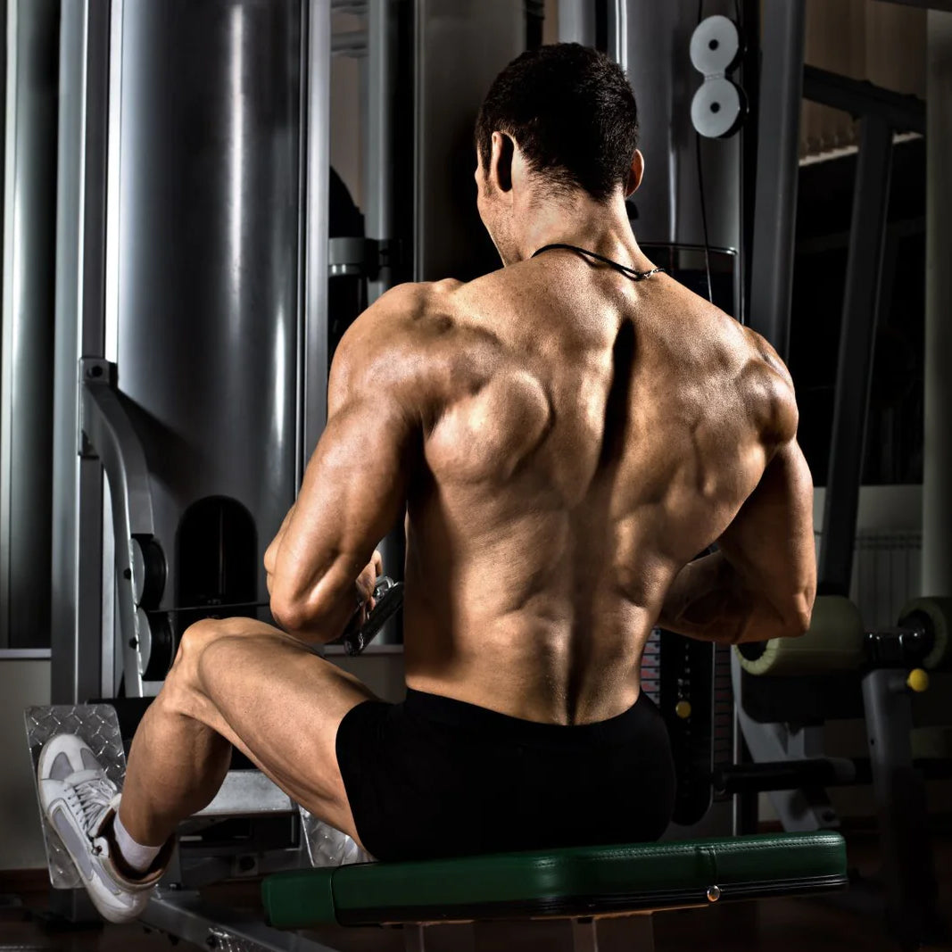 Abs & Back