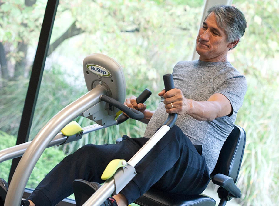 Recumbent Steppers