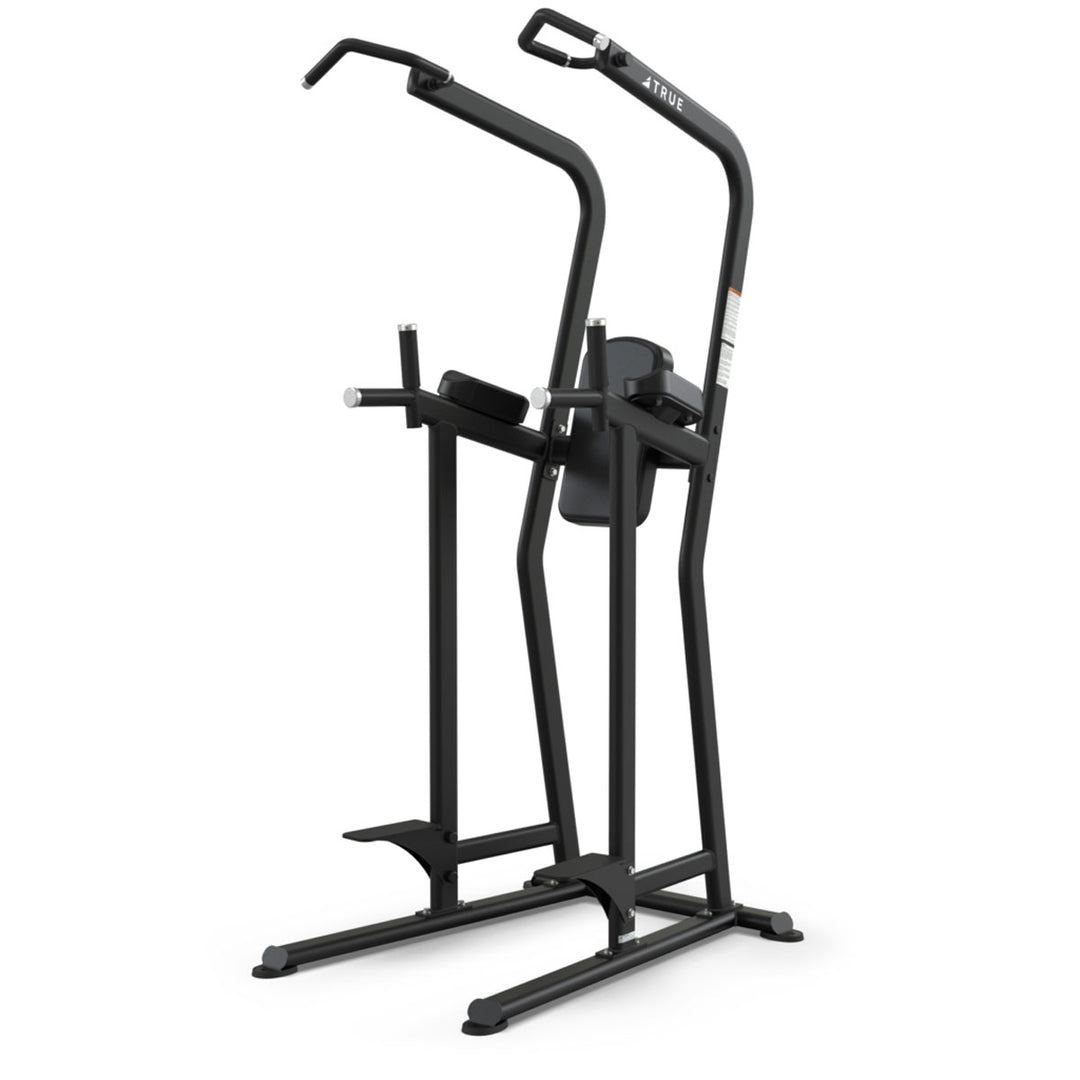 True FS-23 Knee Raise/Dip/Chin Station