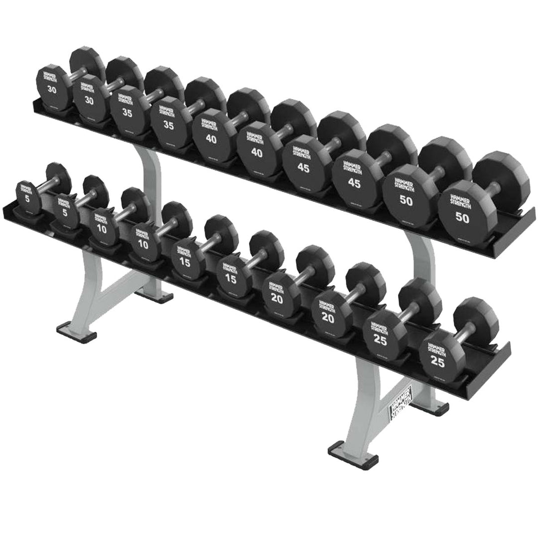 Certified Used Life Fitness Two Tier Dumbbell Rack