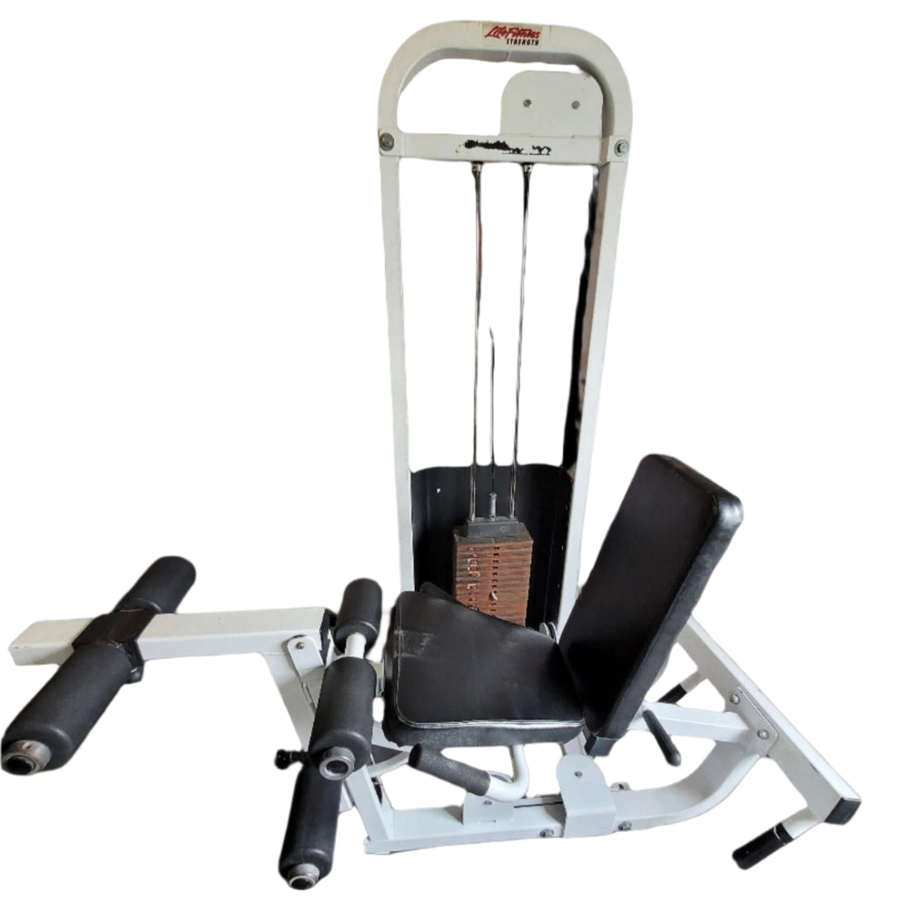 Life Fitness Leg Extension Leg Curl