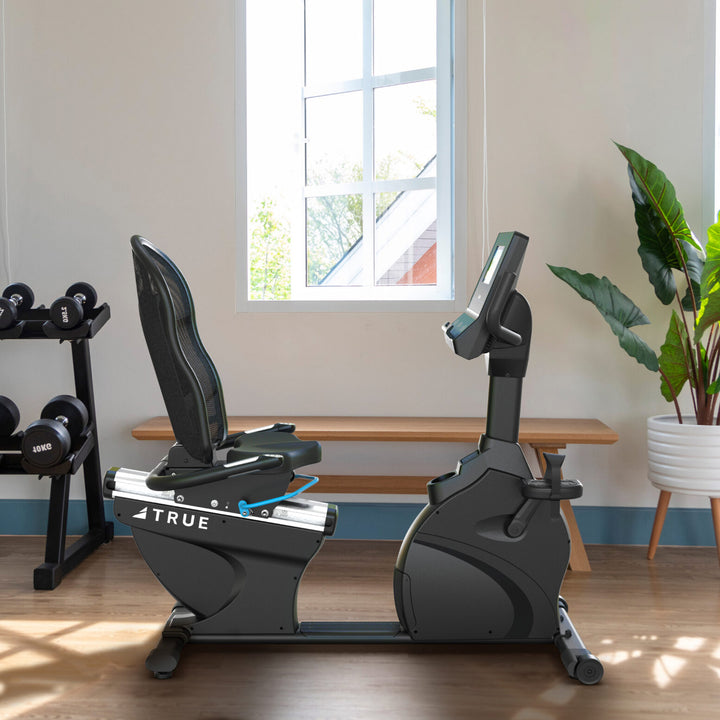 TRUE Performance Series Recumbent Bike