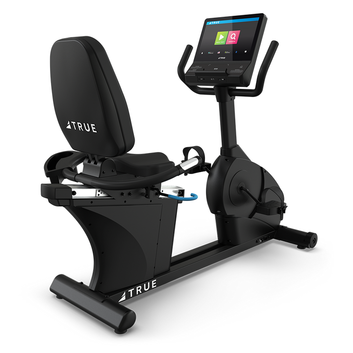 True Fitness Gravity Recumbent Bike