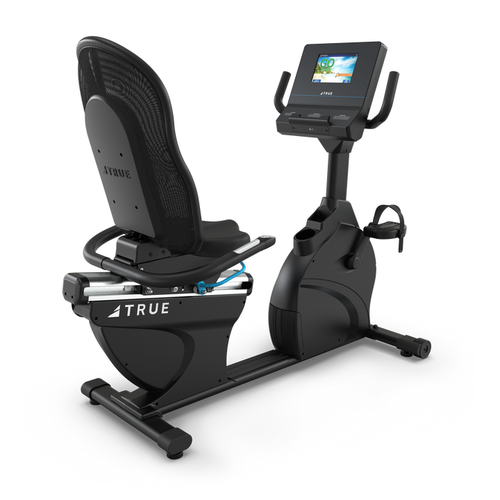 TRUE Performance Series Recumbent Bike