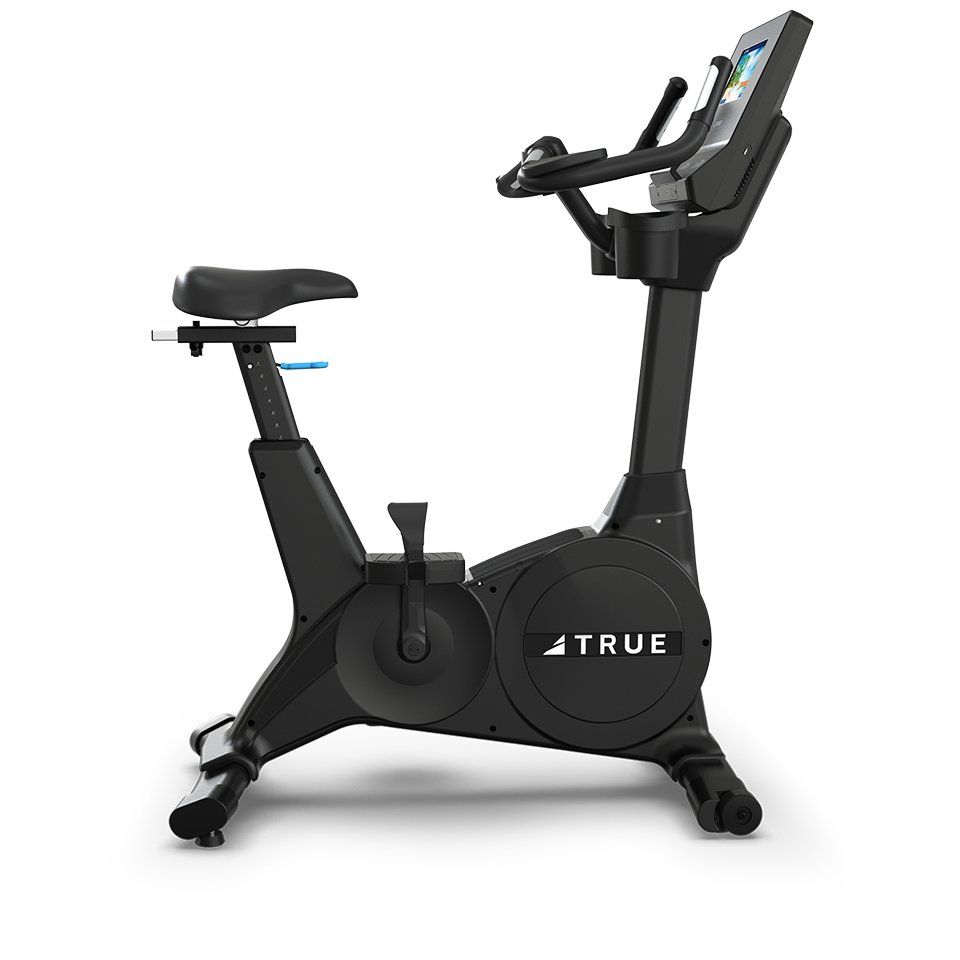 TRUE Performance Series Upright Bike