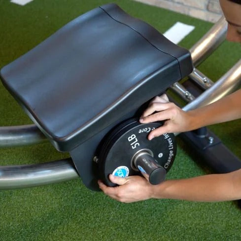 Ab Coaster CS3000 Weight Peg