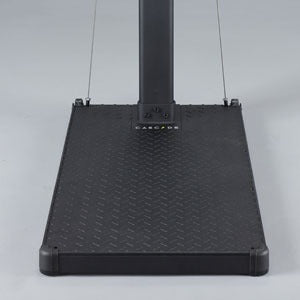 Renegade Raptor Functional Trainer