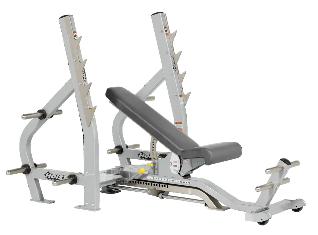 Gym equipment including a weight bench and weight rack on a white background