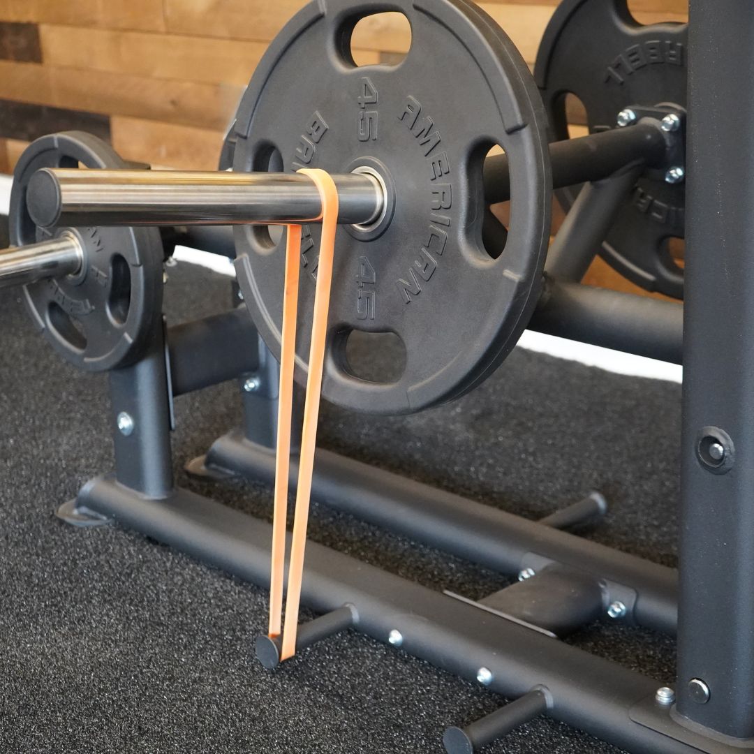 Abs Company Belt Squat