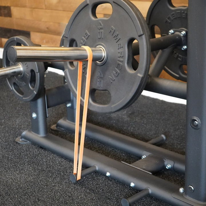 Abs Company Belt Squat