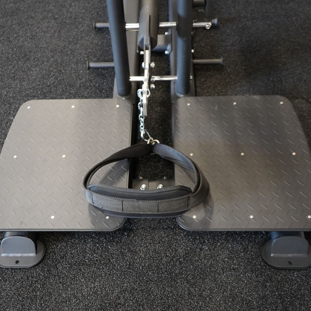 Abs Company Belt Squat