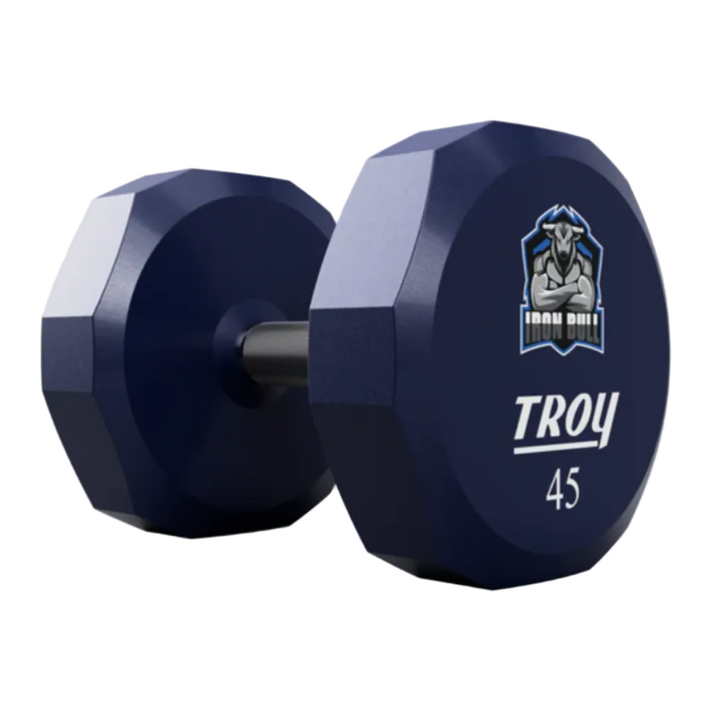 Blue dumbbell with 'TROY' branding on a light gray background