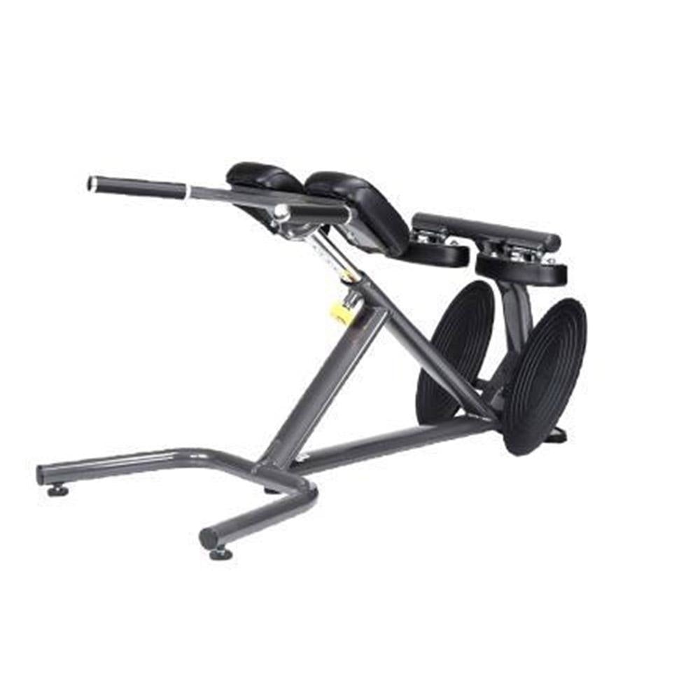SportsArt A993 45 Degree Back Hyperextension - SportsArt Free Weight Series