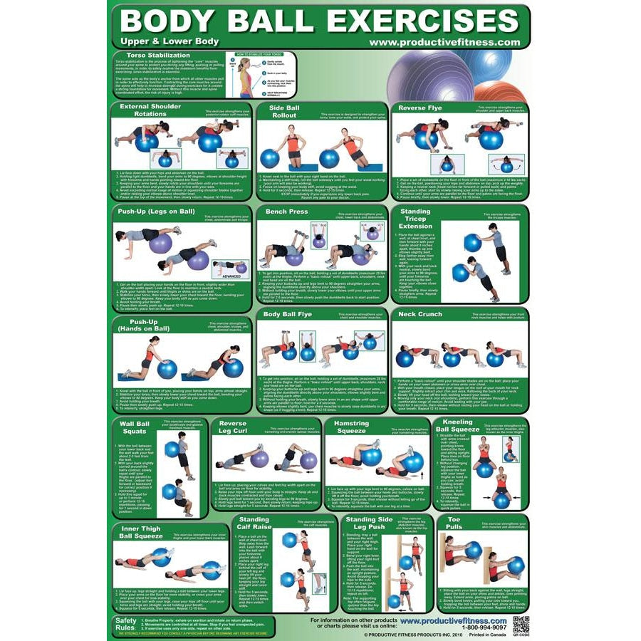 Body Ball Exercises Chart - Upper Body & Lower Body - Handbooks Posters & DVDs