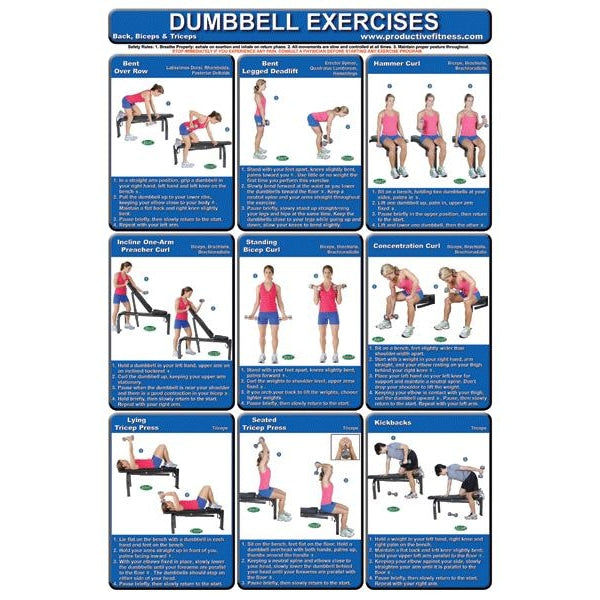 Dumbbell Training Poster Pack - Handbooks Posters & DVDs