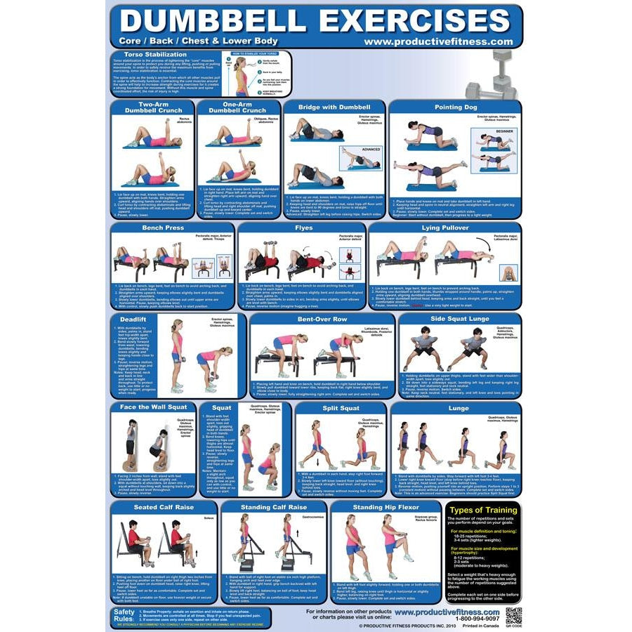 Dumbbell Exercises Chart - Lower Body Core Chest & Back - Handbooks Posters & DVDs