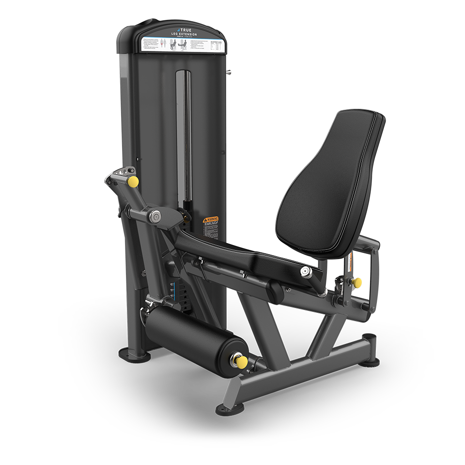 TRUE FUSE-0200 SEATED LEG CURL w/250 lb Stack