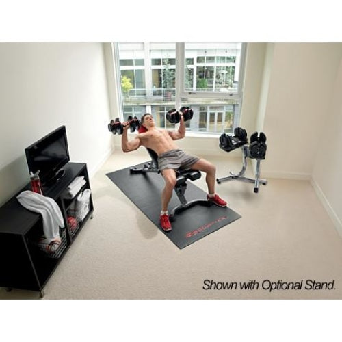 Bowflex dumbbells and discount bench