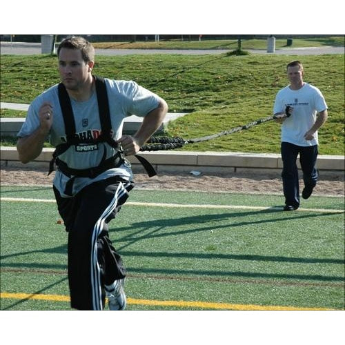Prism Fitness Workhorse Harness - Sports & Agility